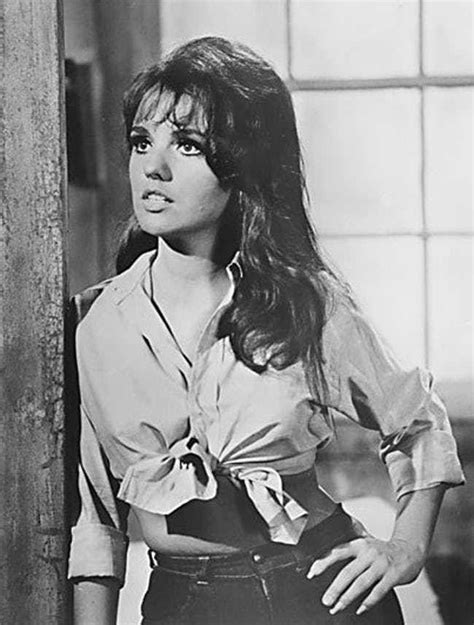 dawn wells sexy pics|Gilligans Island Actress Dawn Wells: Why Did Her。